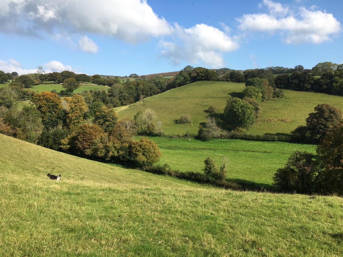 Cookshayes Country Guest House Moretonhampstead Zewnętrze zdjęcie