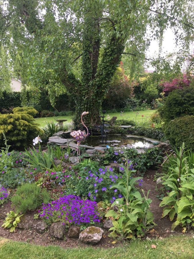 Cookshayes Country Guest House Moretonhampstead Zewnętrze zdjęcie